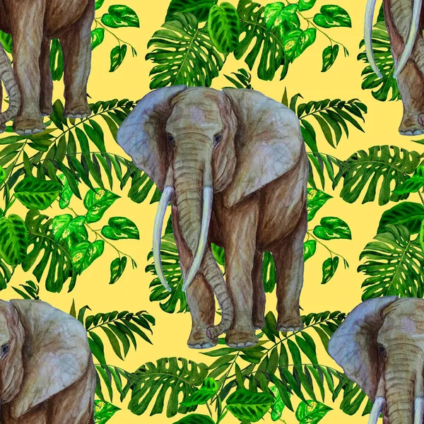 Watercolor seamless pattern with big elephant on tropical background. Artwork in modern style. Creative print.