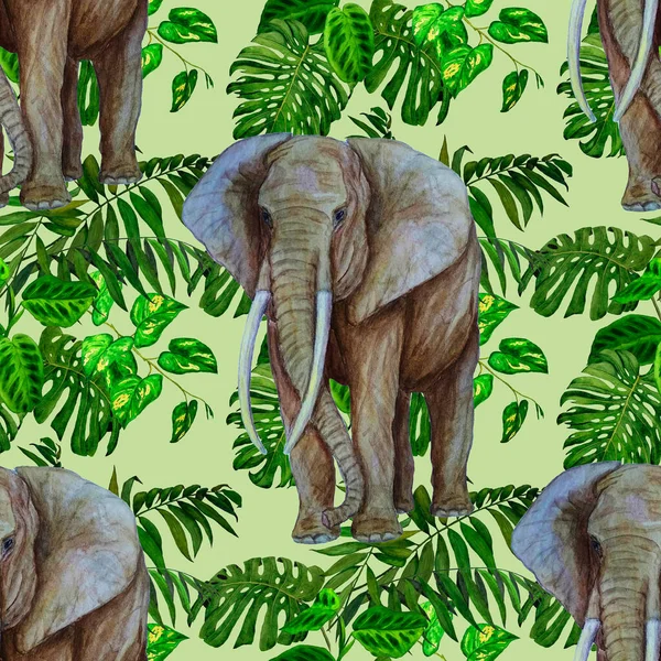 Watercolor seamless pattern with big elephant on tropical background. Artwork in modern style. Creative print.