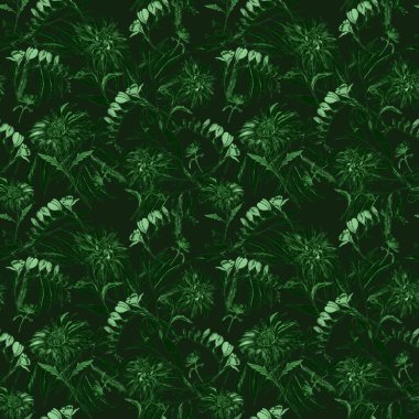 Suluboya desensiz çiçek açan kasımpatılar. Dekoratif çiçek arkaplanı. Güzel yaz baskısı.