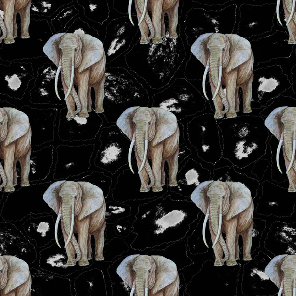 Aquarelle Motif Sans Couture Avec Des Éléphants Sur Fond Animalier — Photo