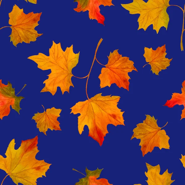 落叶水彩画无缝图案 枫树美丽的秋天插图 天然叶面印刷 — 图库照片