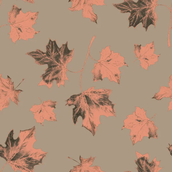 솔기없는 낙엽이 떨어지는 메이플 아름다운 천연림 인쇄되다 — 스톡 사진