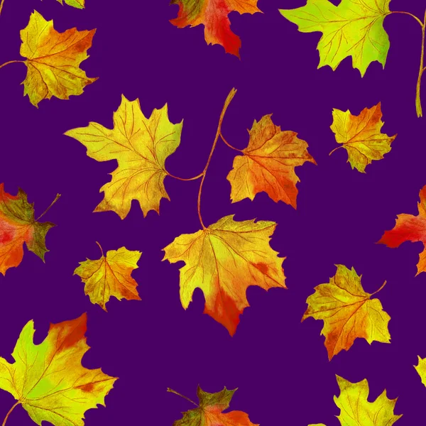 落叶水彩画无缝图案 枫树美丽的秋天插图 天然叶面印刷 — 图库照片