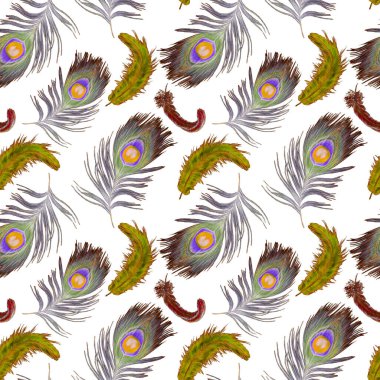 Güzel tavus kuşu tüyleriyle dekoratif, pürüzsüz desen. Modern moda dokusu. El boya kalemleriyle çizilmiş..