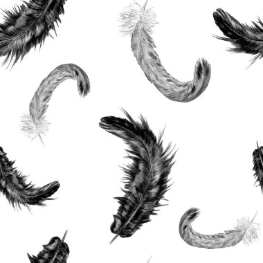 Güzel tüyleri olan dekoratif, pürüzsüz bir desen. Boya kalemleriyle çizilmiş moda resim baskısı.