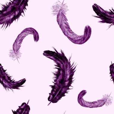 Güzel tüyleri olan dekoratif, pürüzsüz bir desen. Boya kalemleriyle çizilmiş moda resim baskısı.