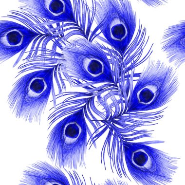 Güzel tavus kuşu tüyleriyle dekoratif, pürüzsüz desen. Moda dokusu. El boya kalemleriyle çizilmiş..