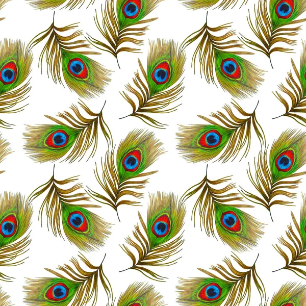 Διακοσμητικό Μοτίβο Χωρίς Ραφή Όμορφα Φτερά Παγωνιού Μοντέρνα Υφή Χειροποίητο — Φωτογραφία Αρχείου