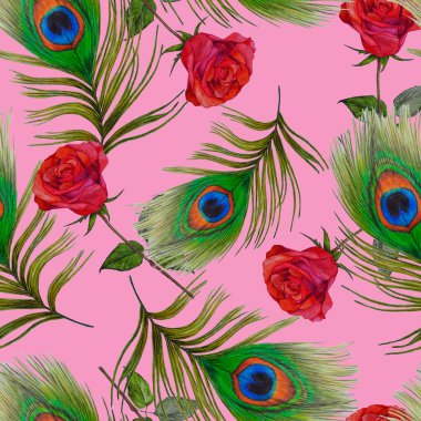 Süssüz desenli, suluboya güller ve tavus kuşu tüyleriyle. Romantik çiçek deseni. 