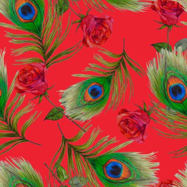 Süssüz desenli, suluboya güller ve tavus kuşu tüyleriyle. Romantik çiçek deseni. 