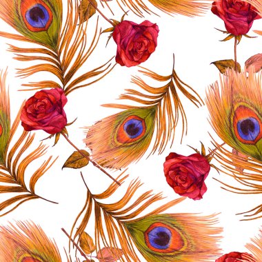 Süssüz desenli, suluboya güller ve tavus kuşu tüyleriyle. Romantik çiçek deseni. 