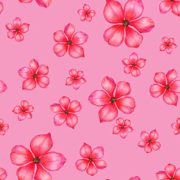 Schöne Nahtlose Muster Mit Stilisierten Blumen Botanischer Sommerdruck Mit Buntstiften — Stockfoto
