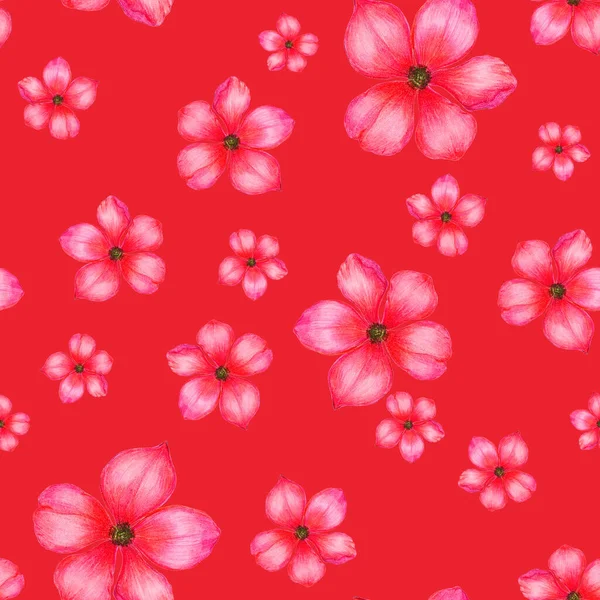 Şekillendirilmiş Çiçekli Kusursuz Bir Desen Botanik Yaz Baskısı Renkli Kalemlerle — Stok fotoğraf