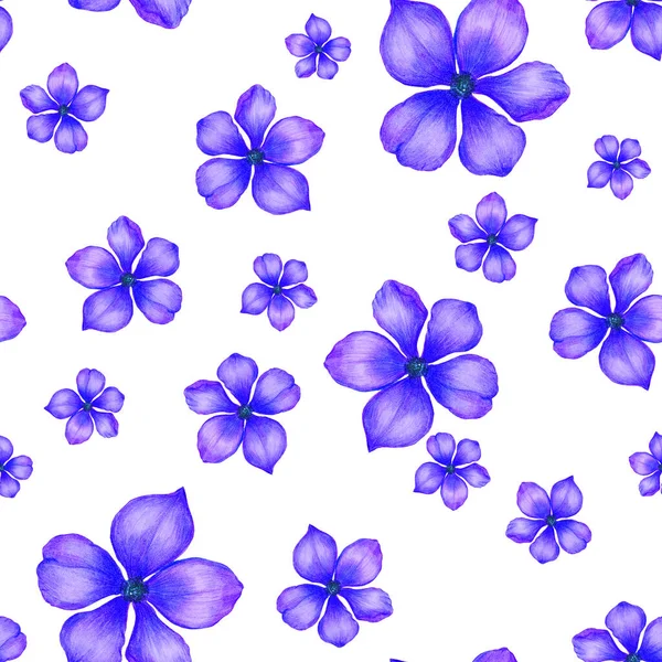 Piękny Bezszwowy Wzór Stylizowanymi Kwiatami Botaniczny Letni Druk Ręcznie Rysowane — Zdjęcie stockowe