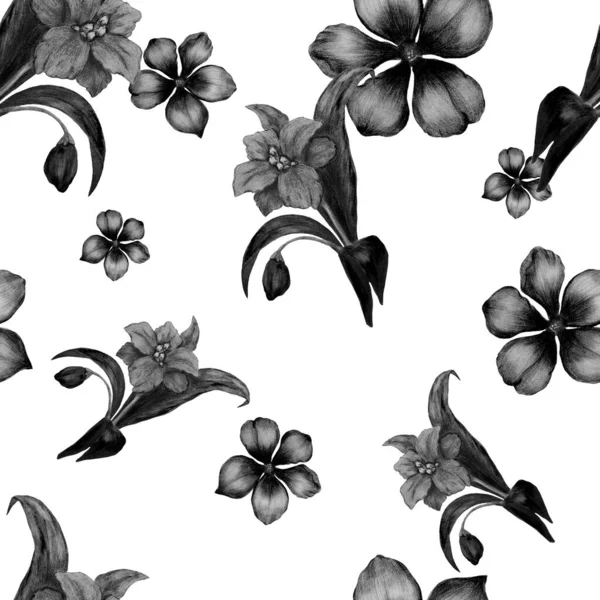 美丽的无缝图案与花柱 植物学夏季印刷品 手绘彩色铅笔 — 图库照片