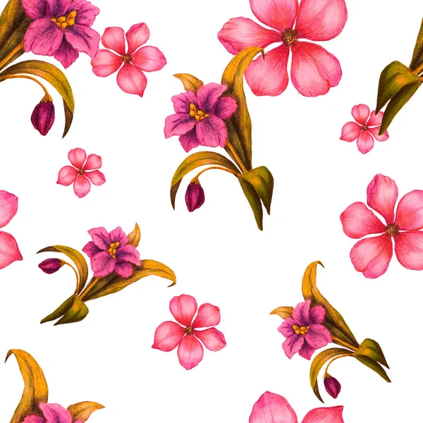 Belo Padrão Sem Costura Com Flores Estilizadas Impressão Botânica Verão — Fotografia de Stock