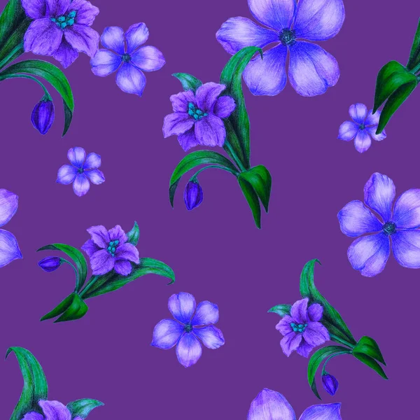 Schöne Nahtlose Muster Mit Stilisierten Blumen Botanischer Sommerdruck Mit Buntstiften — Stockfoto