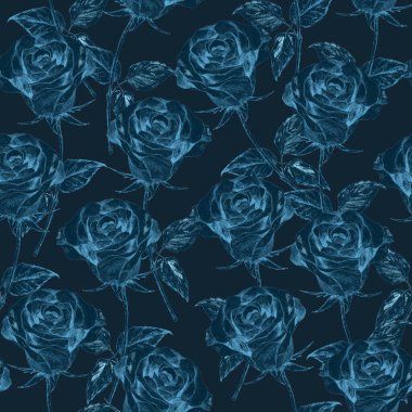 Çiçeksiz suluboya desenli güzel güller. Botanik Gülü çiçek izi. Yaz doğası arka planı.