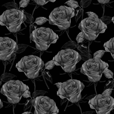 Çiçeksiz suluboya desenli güzel güller. Botanik Gülü çiçek izi. Yaz doğası arka planı.