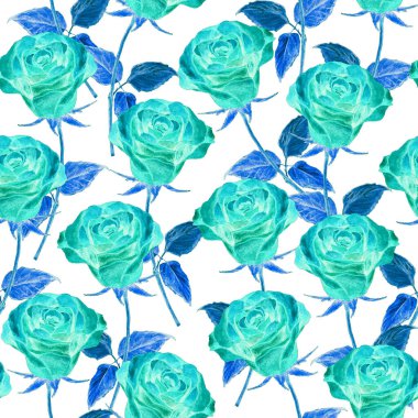 Çiçeksiz suluboya desenli güzel güller. Botanik Gülü çiçek izi. Yaz doğası arka planı.