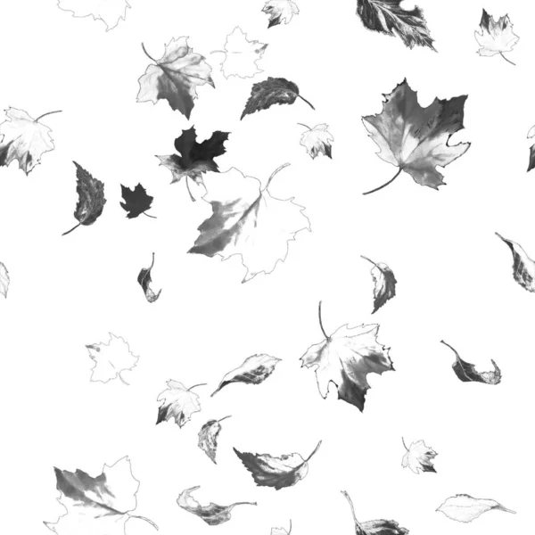 Акварель Безшовний Візерунок Осіннім Листям Ілюстрація Намальованого Листя Рук — стокове фото
