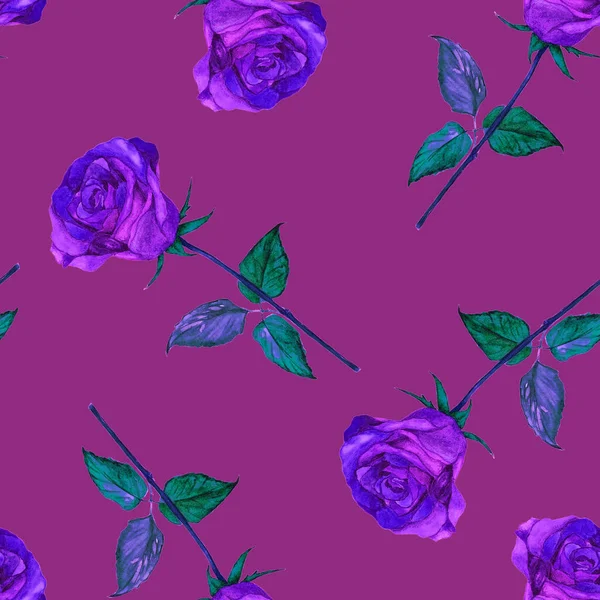 Akvarel Květinové Bezešvé Vzor Krásnými Růžemi Otisk Botanické Růže Letní — Stock fotografie