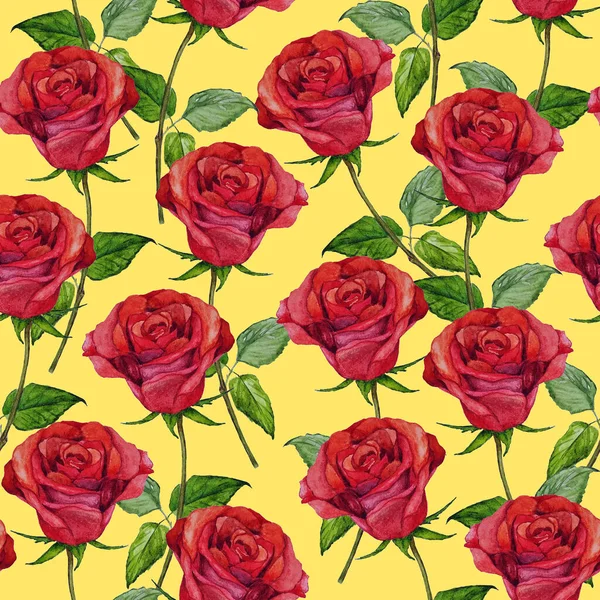 Akvarel Květinové Bezešvé Vzor Krásnými Růžemi Otisk Botanické Růže Letní — Stock fotografie