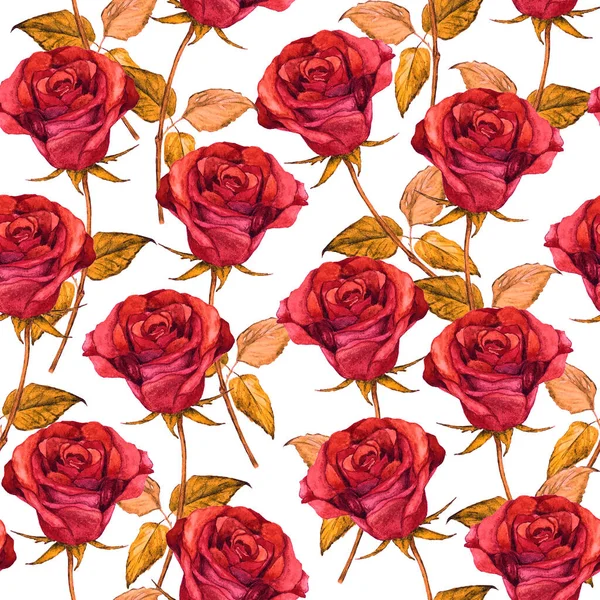 Padrão Sem Costura Floral Aquarela Com Belas Rosas Botanic Rose — Fotografia de Stock