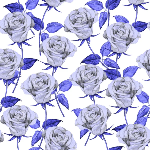 Aquarel Bloemen Naadloos Patroon Met Prachtige Rozen Botanische Rose Bloemenprint — Stockfoto