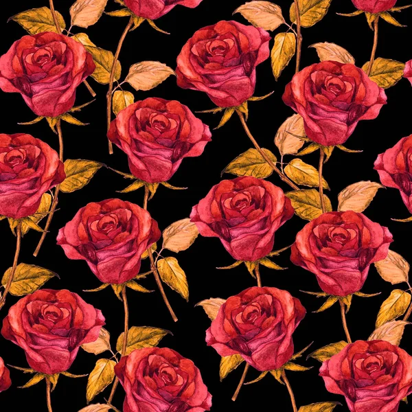 Aquarelle Motif Floral Sans Couture Avec Belles Roses Rose Botanique — Photo