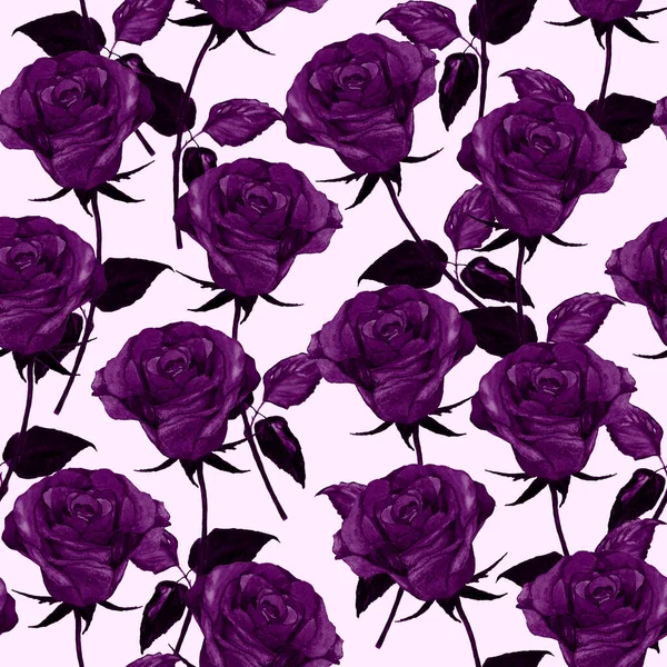 Watercolor Floral Seamless Pattern Beautiful Roses Botanic Rose Flower Print — Stock Photo, Image