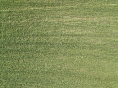 Tarım traktörü yuvarlanan çim hava aracını baştan aşağı görüntülüyor..