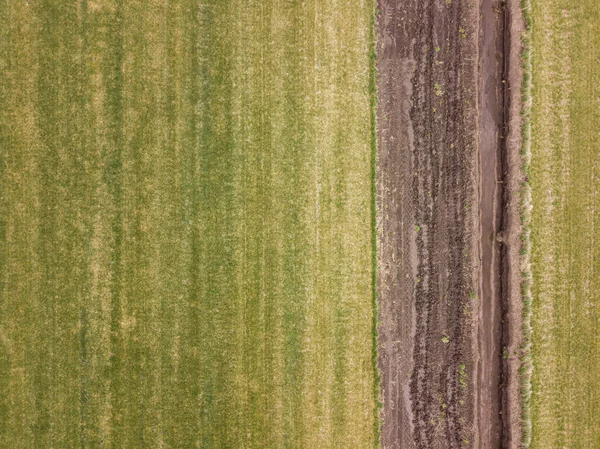 Letecký Top Dolů Drone Pořídil Snímek Zelené Pole Zemědělské Půdy — Stock fotografie