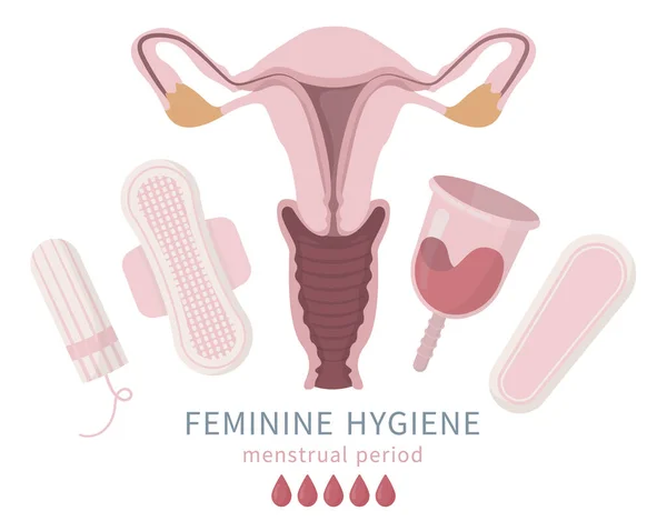 Set copa menstrual, tampón, servilletas, vagina — Vector de stock