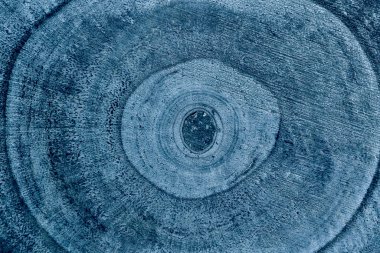 Ahşap doku arka planı. Ağaç gövdesi kesiti. Moda mavisi renk 2020