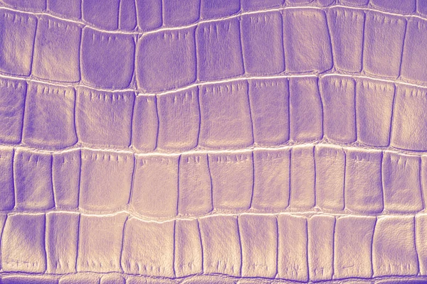 Reptil animal skin ornamentn on fabric. Crocodile skin surface texture made from artificial leather. Snake neon skin pattern imitation made of faux leather. Closeup, macro