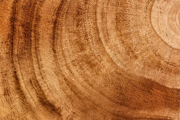 Textura detalhada de madeira de tronco de árvore de corte ou toco, close-up. Corte transversal de tronco de árvore. Vista superior, macro, close-up — Fotografia de Stock