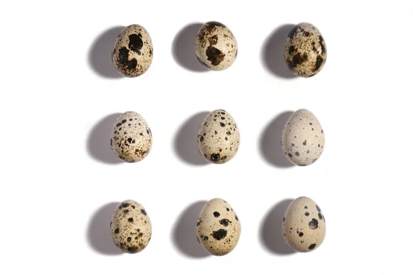Creative Perail Egg Layout White Background Яйца Перепела Счастливой Пасхальной — стоковое фото