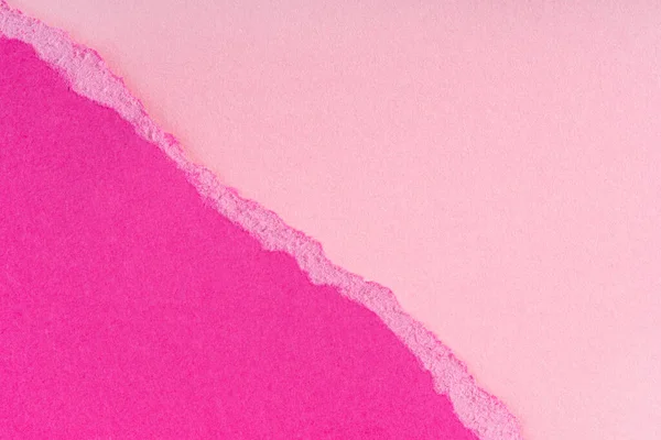 Pembe arka planda yırtık pırtık mor kağıt parçaları. Yırtılmış kağıt kenarı yumuşak gölgeyle izole edilmiş. Kağıt parçası yırtılmış. Boşluğu, çerçeveyi, pankartı kopyala