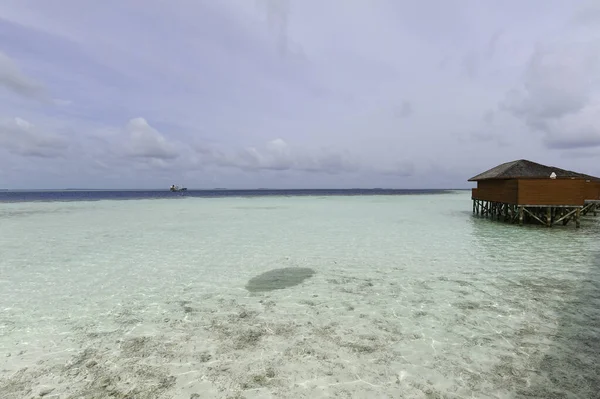 Beautiful Summer Tropical Beach Exotic Island Maldives — Stock Photo, Image