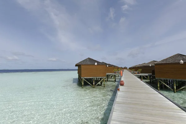 Linda Praia Tropical Verão Ilha Exótica Maldivas — Fotografia de Stock