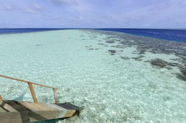 Hermosa Playa Tropical Verano Isla Exótica Maldivas — Foto de Stock