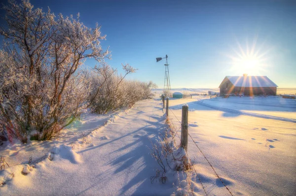 Sabahın erken saatlerinde kar fırtınası sonrası Kanada bozkırlarındaki bir çiftlik evinde gün doğumu..