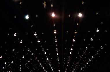 Koyu dokudan önce ampuller