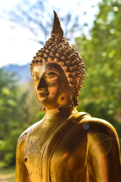 近くで何が起きているのでしょうか タイのチェンマイにある フォティヤン寺院前にある美しい仏像です — ストック写真