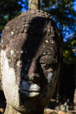 Eski Buda 'nın kafasını Wat Umong, Chiang Mai, Tayland' daki bahçeye yakın çekim..