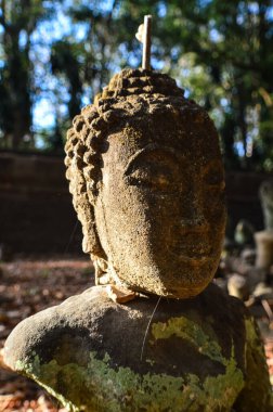 Eski Buda 'nın kafasını Wat Umong, Chiang Mai, Tayland' daki bahçeye yakın çekim..