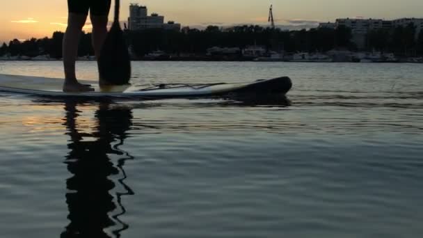 Beautiful woman on Stand Up Paddle Board. SUP. — Stock Video