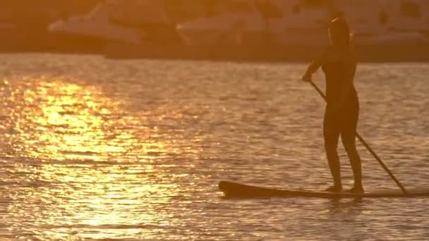 Beautiful woman on Stand Up Paddle Board. SUP. — Stock Video