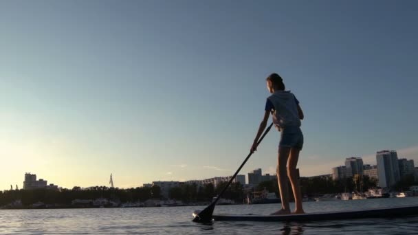 Beautiful woman on Stand Up Paddle Board. SUP. — Stock Video